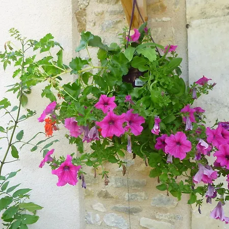 住宿加早餐酒店 La Roulotte De Pommette Et Billy - Lares 4*