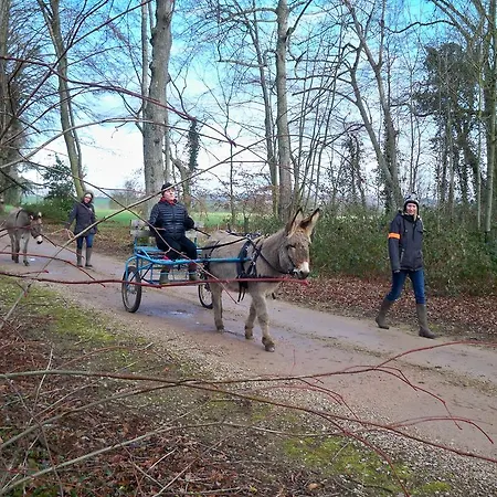 住宿加早餐酒店 La Roulotte De Pommette Et Billy - Lares